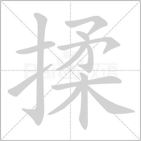 揉的造詞|揉造詞，揉字的造詞